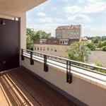 Rent 3 bedroom apartment of 102 m² in Leipzig