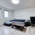 Pronajměte si 2 ložnic/e byt o rozloze 45 m² v Nové Sedlo