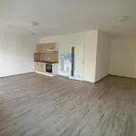 Pronajměte si 1 ložnic/e byt o rozloze 38 m² v Pilsen