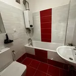 Rent 3 bedroom apartment of 50 m² in Praha