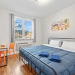 Rent 1 bedroom apartment in New York