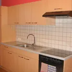 Rent 1 bedroom apartment of 42 m² in Graz