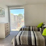 Rent 3 bedroom apartment in Christchurch