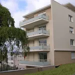 Rent 2 bedroom apartment of 41 m² in Clermont-Ferrand