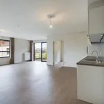 Flat - apartment for rent - Meeuwen