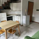 Rent 3 bedroom apartment of 65 m² in Reggio nell'Emilia