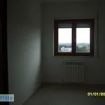 Rent 3 bedroom apartment of 60 m² in Taranto