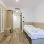 Rent 1 bedroom apartment in madrid