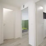 Rent 2 bedroom apartment in Milan