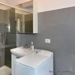 Rent 2 bedroom apartment of 55 m² in Milan