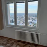 Rent 2 bedroom apartment in Chrudim