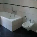 Appartamento arredato con terrazzo Centro