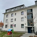 Miete 5 Schlafzimmer wohnung von 109 m² in Mannheim