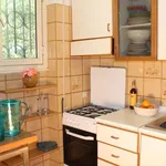 Rent 3 bedroom apartment of 80 m² in Roma