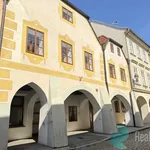 Rent 1 bedroom apartment of 43 m² in České Budějovice