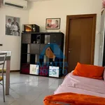 Rent 2 bedroom apartment of 50 m² in Florence