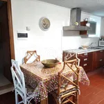 Rent 1 bedroom apartment of 40 m² in Cascia