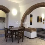 Rent 1 bedroom apartment in Siena