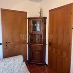 Rent 2 bedroom apartment of 47 m² in Ponte di Legno