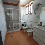 Affitto 3 camera casa di 85 m² in Brindisi