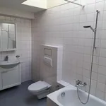 Rent 4 bedroom apartment in Basel