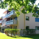 Rent 3 bedroom apartment of 62 m² in Affoltern am Albis