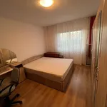 Rent 1 bedroom house of 24 m² in Brasov