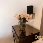 Rent 3 bedroom apartment of 109 m² in Ostrava