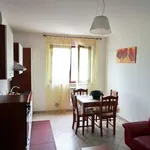 Rent 2 bedroom apartment of 50 m² in Chieti