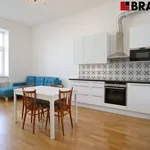 Rent 2 bedroom apartment of 60 m² in Brno