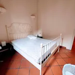 Rent 1 bedroom apartment of 60 m² in milano