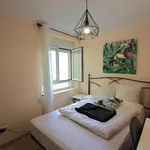 Rent 2 bedroom apartment of 63 m² in Santander 