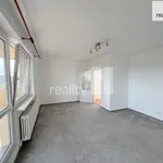 Rent 1 bedroom apartment of 46 m² in Praha