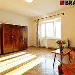 Rent 1 bedroom apartment of 45 m² in Brno