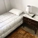 Rent a room in pamplona