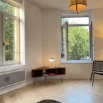 Rent 2 bedroom apartment of 63 m² in Lille