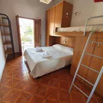 Rent 3 bedroom apartment of 60 m² in Siena