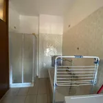 Rent 2 bedroom apartment of 70 m² in Codogno