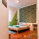 Rent 1 bedroom apartment of 35 m² in Roma