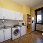 Rent a room of 150 m² in Milan