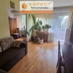 Rent 3 bedroom apartment of 48 m² in Płock