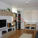 Rent 1 bedroom apartment in Pardubice