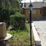 Rent 4 bedroom house of 150 m² in Enna