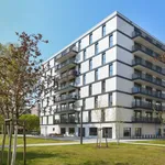 Rent 1 bedroom apartment of 31 m² in Berlin