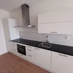 Rent 1 bedroom apartment of 55 m² in Amsterdam