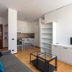 Rent 1 bedroom apartment in Milan