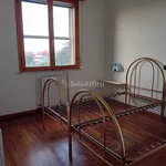 Rent 2 bedroom apartment of 50 m² in Rimini