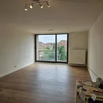 Rent 1 bedroom apartment in Leuven