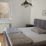 Miete 1 Schlafzimmer wohnung von 60 m² in Vienna