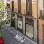 Rent 1 bedroom apartment of 57 m² in madrid